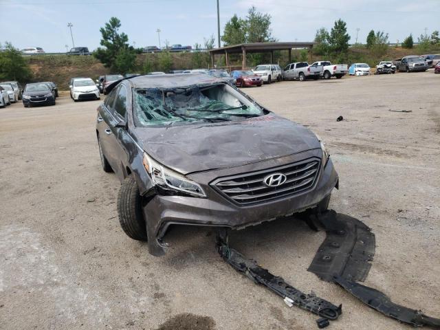 HYUNDAI SONATA SPO 2015 5npe34af0fh222413