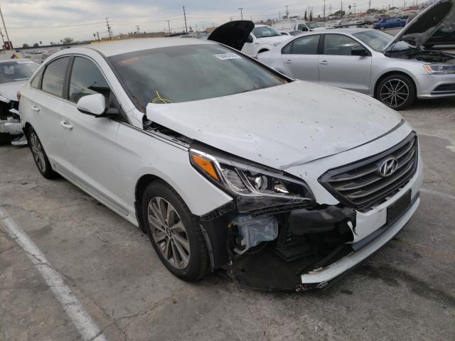 HYUNDAI SONATA SPO 2015 5npe34af0fh234433