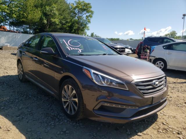 HYUNDAI SONATA SPO 2015 5npe34af0fh246744