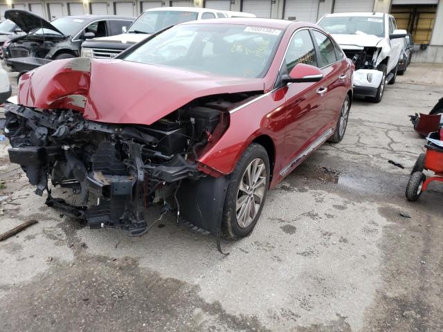 HYUNDAI SONATA SPO 2015 5npe34af0fh255752