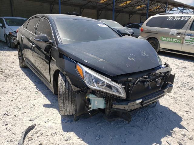 HYUNDAI SONATA SPO 2016 5npe34af0gh260645