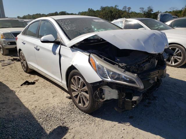 HYUNDAI SONATA SPO 2016 5npe34af0gh269040