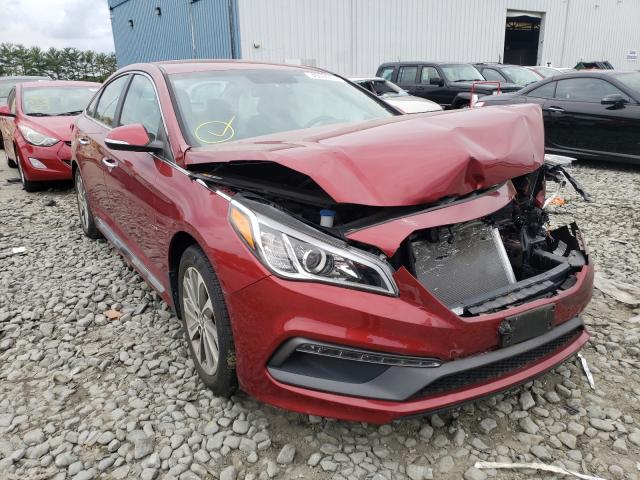 HYUNDAI SONATA SPO 2016 5npe34af0gh269488