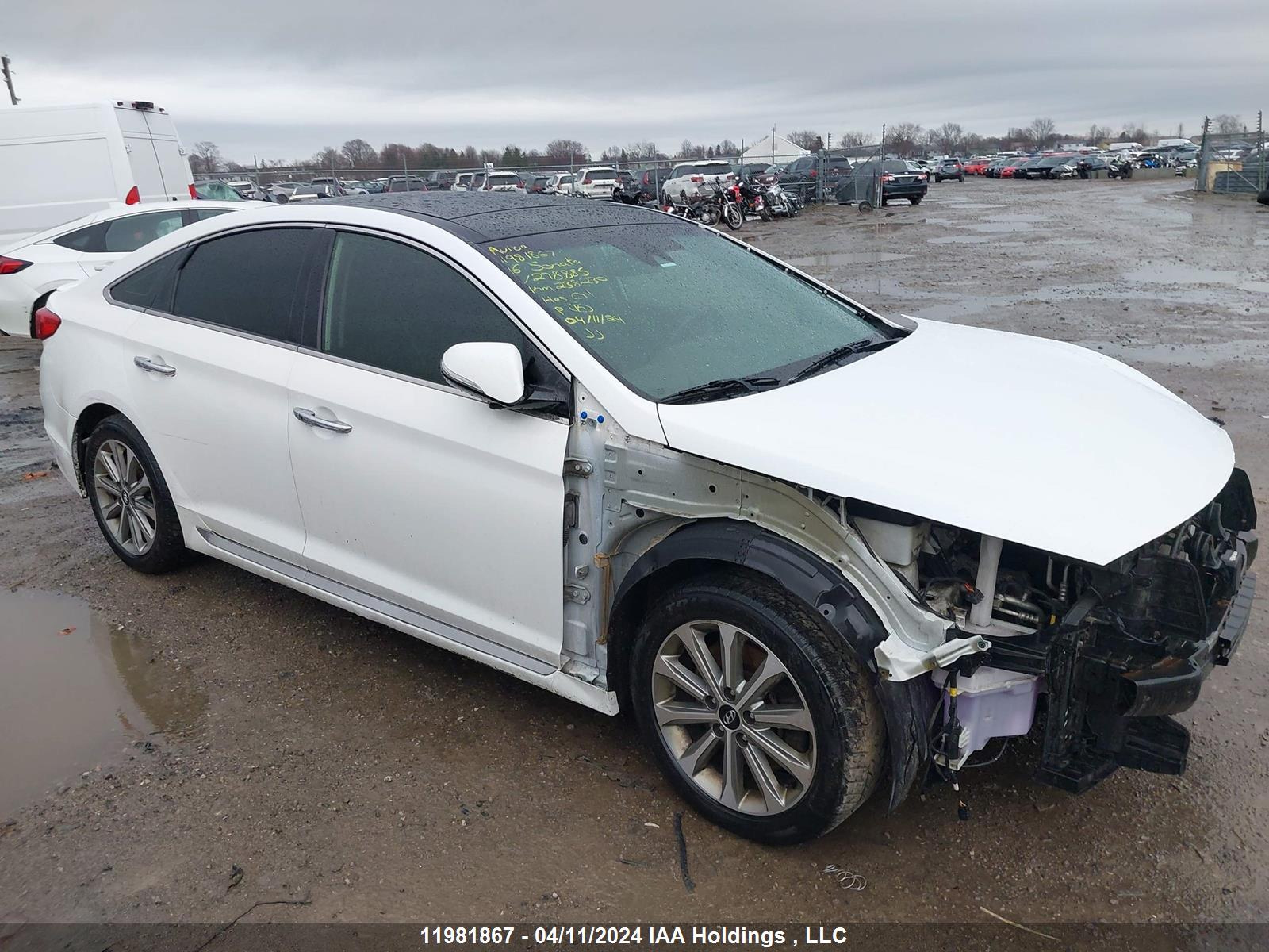 HYUNDAI SONATA 2016 5npe34af0gh278885