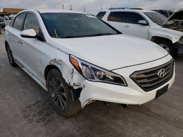 HYUNDAI SONATA SPO 2016 5npe34af0gh280054