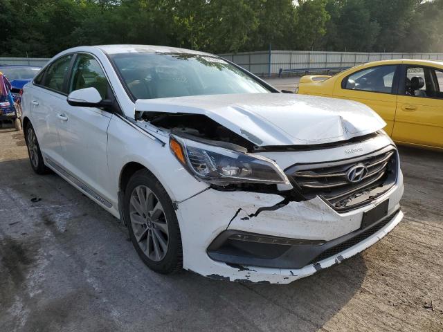 HYUNDAI SONATA SPO 2016 5npe34af0gh288610