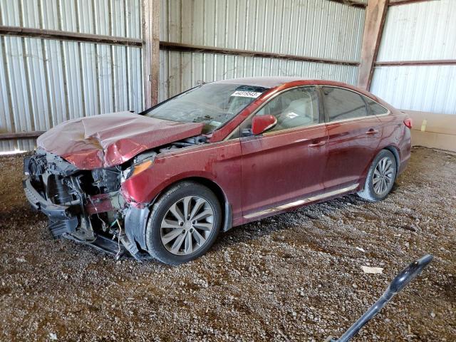 HYUNDAI SONATA SPO 2016 5npe34af0gh291362