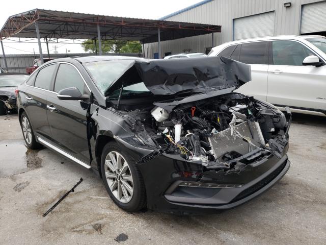 HYUNDAI SONATA SPO 2016 5npe34af0gh303851