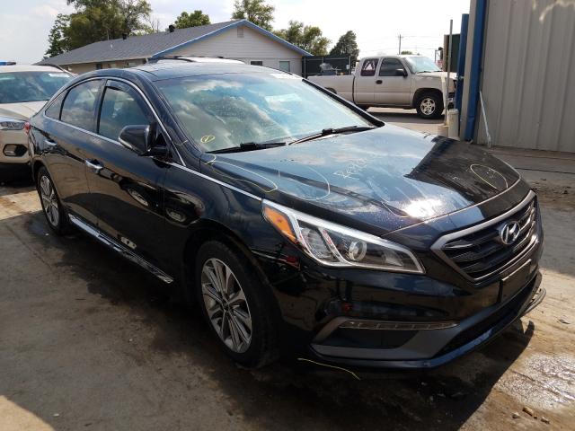 HYUNDAI SONATA SPO 2016 5npe34af0gh306202