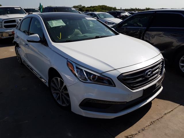 HYUNDAI SONATA SPO 2016 5npe34af0gh327549