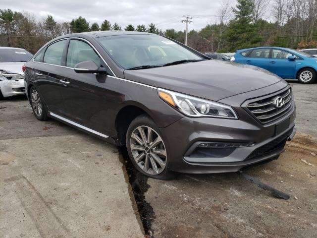 HYUNDAI SONATA SPO 2016 5npe34af0gh329480