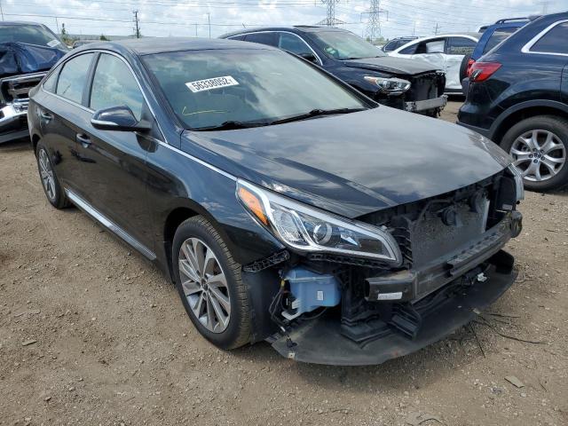 HYUNDAI SONATA SPO 2016 5npe34af0gh333528