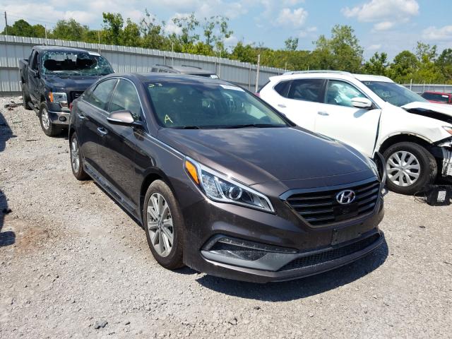 HYUNDAI SONATA SPO 2016 5npe34af0gh333691