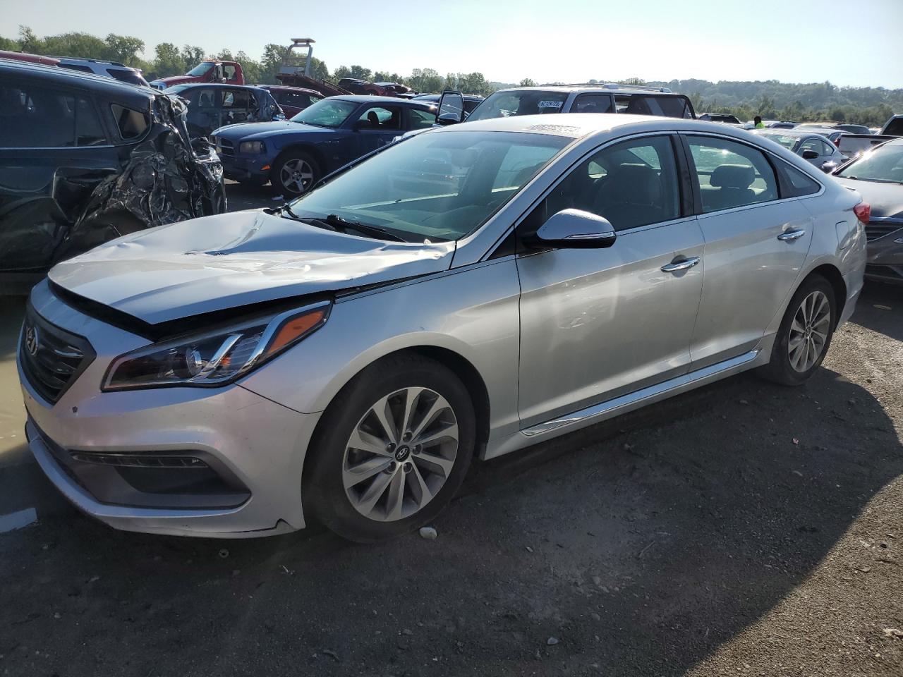 HYUNDAI SONATA SPO 2016 5npe34af0gh333948