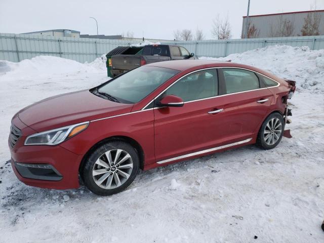 HYUNDAI SONATA SPO 2016 5npe34af0gh335182