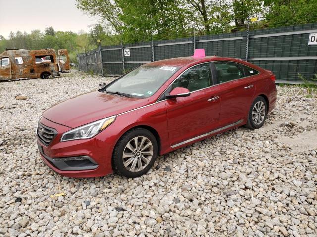 HYUNDAI SONATA SPO 2016 5npe34af0gh343122