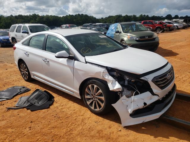 HYUNDAI SONATA SPO 2016 5npe34af0gh348059