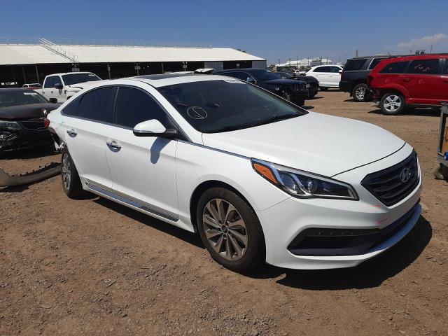 HYUNDAI SONATA SPO 2016 5npe34af0gh361118