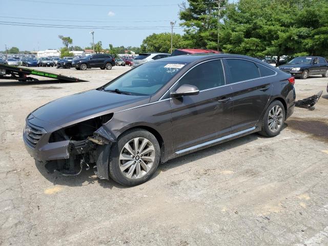 HYUNDAI SONATA SPO 2016 5npe34af0gh367355