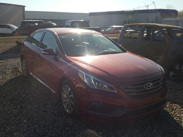 HYUNDAI SONATA SPO 2016 5npe34af0gh380560