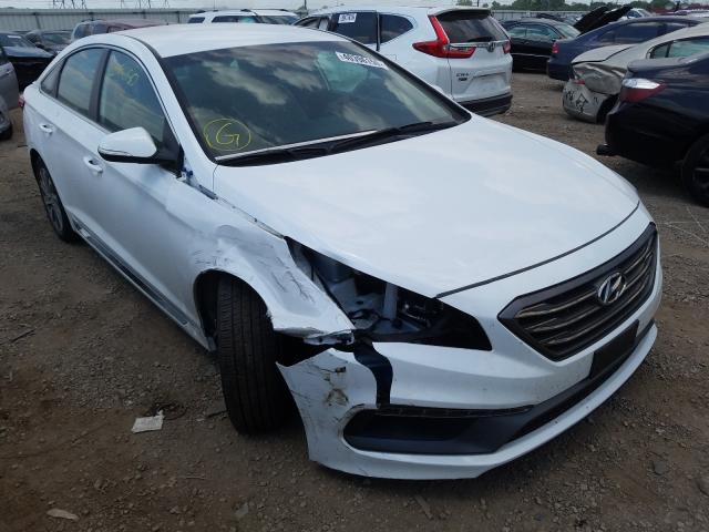 HYUNDAI SONATA SPO 2016 5npe34af0gh391106