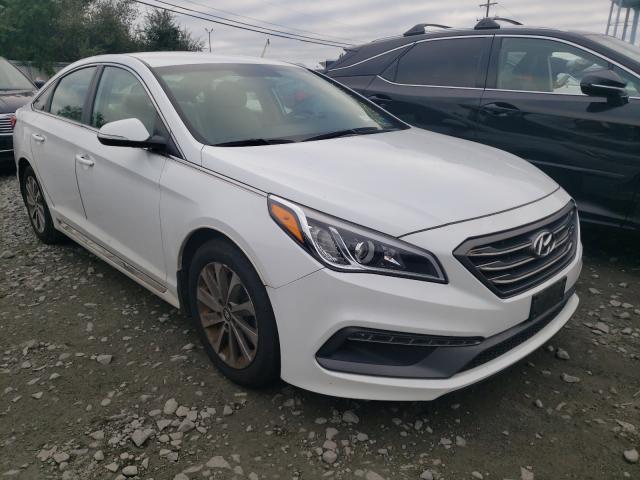 HYUNDAI SONATA SPO 2016 5npe34af0gh392515