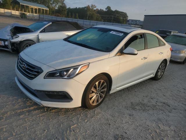 HYUNDAI SONATA SPO 2016 5npe34af0gh406252