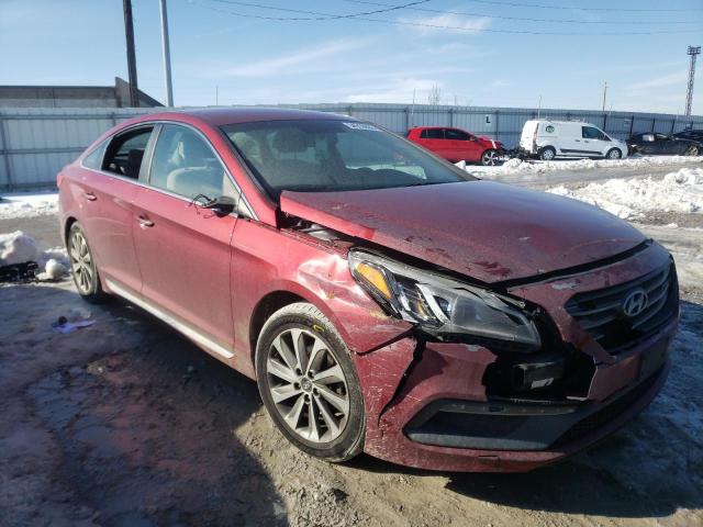 HYUNDAI SONATA SPO 2016 5npe34af0gh410561