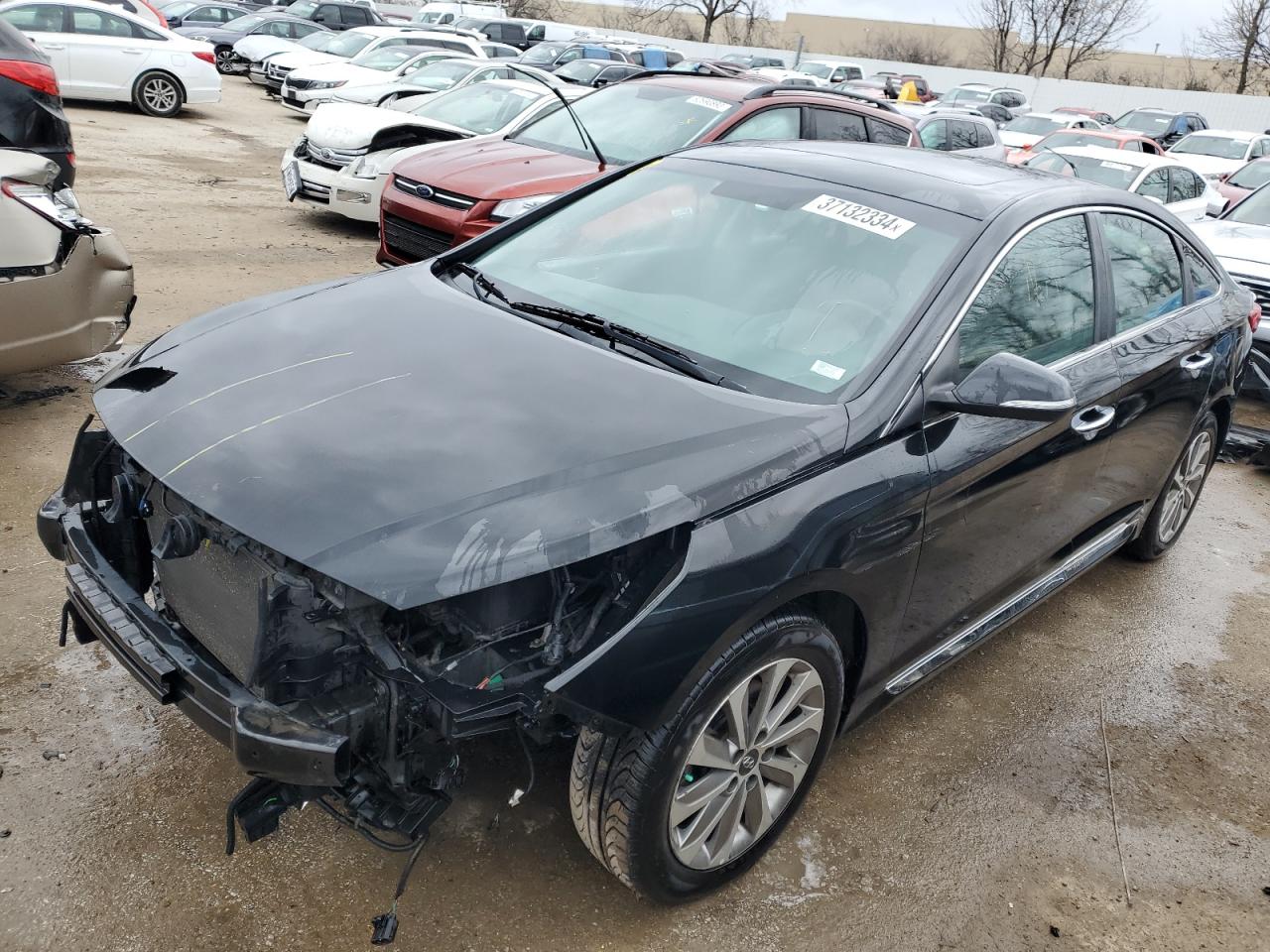 HYUNDAI SONATA 2016 5npe34af0gh412438