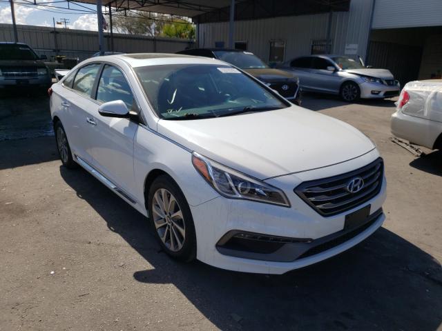 HYUNDAI SONATA SPO 2016 5npe34af0gh412794