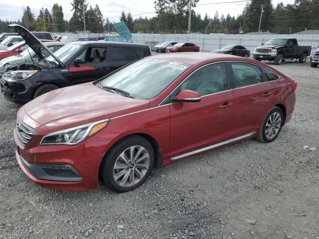 HYUNDAI SONATA SPO 2016 5npe34af0gh413573