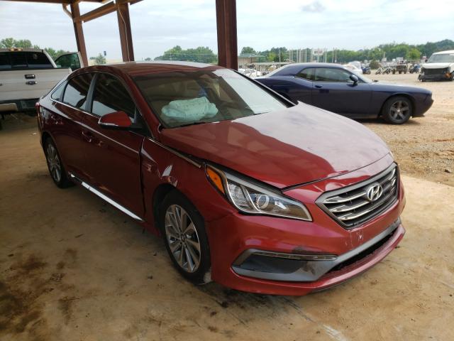 HYUNDAI SONATA SPO 2016 5npe34af0gh425223