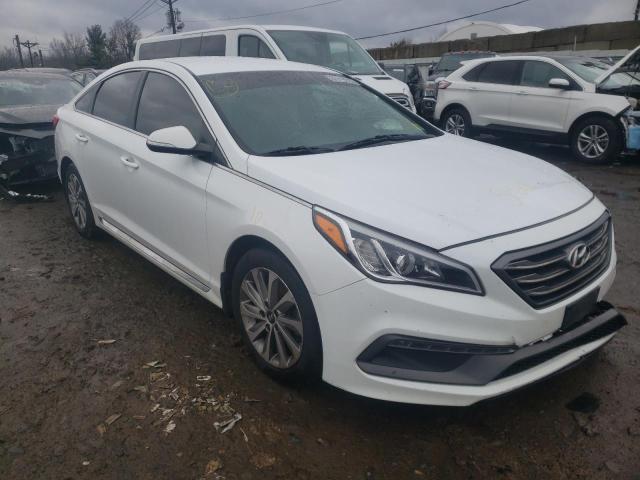 HYUNDAI SONATA SPO 2016 5npe34af0gh427912