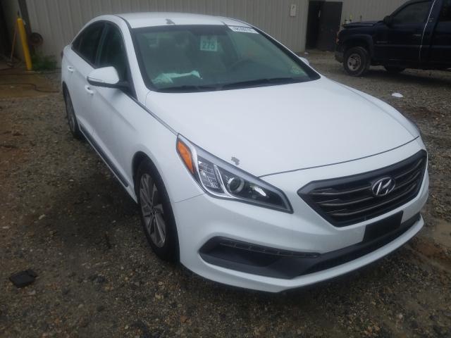 HYUNDAI SONATA SPO 2017 5npe34af0hh452522