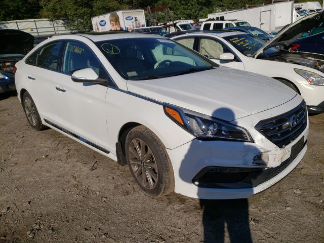 HYUNDAI SONATA SPO 2017 5npe34af0hh468123