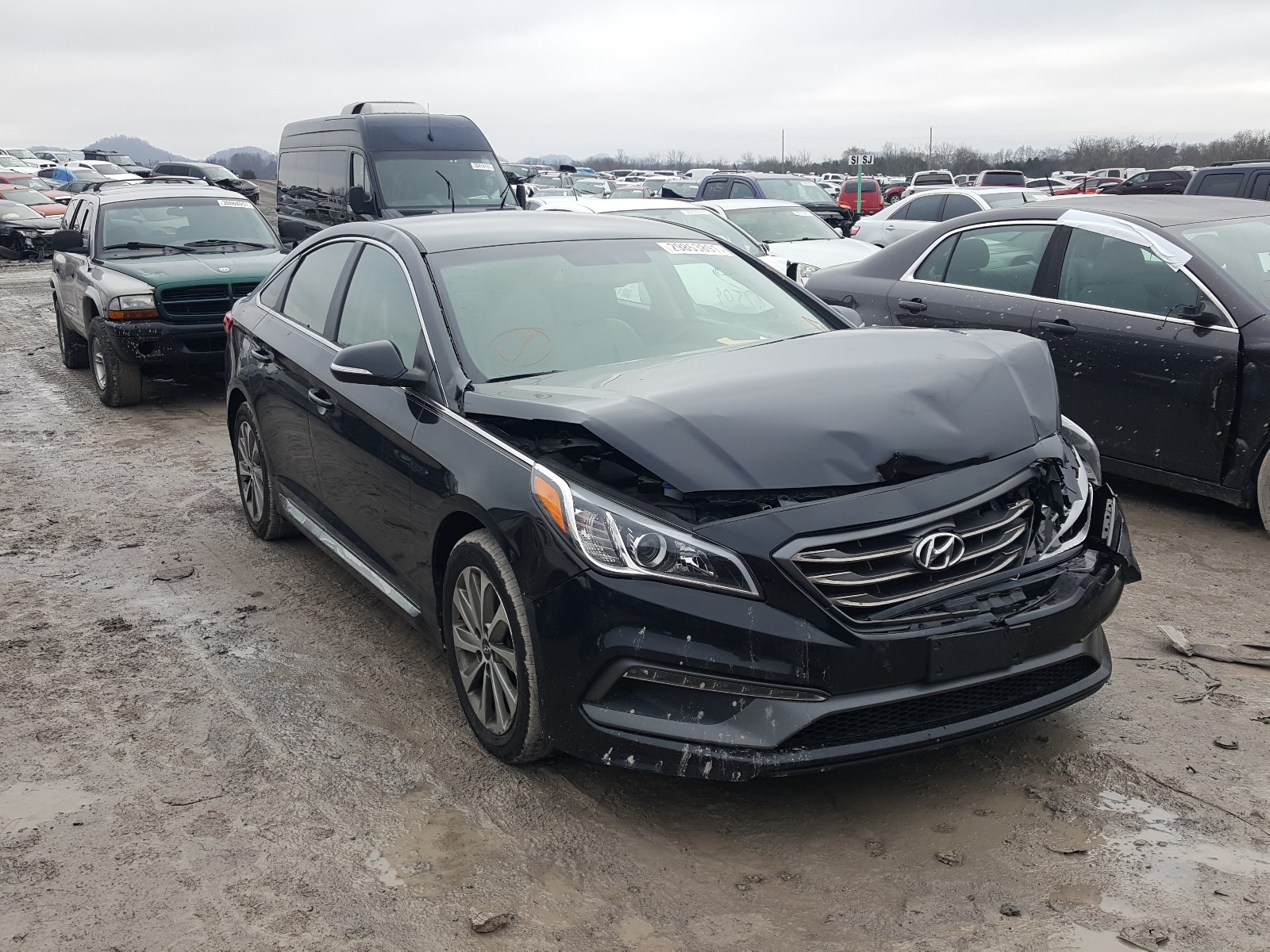 HYUNDAI SONATA SPO 2017 5npe34af0hh515120