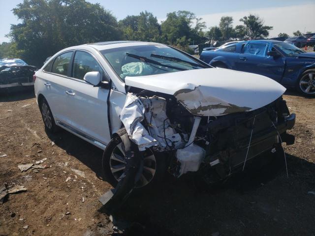 HYUNDAI SONATA SPO 2017 5npe34af0hh527901