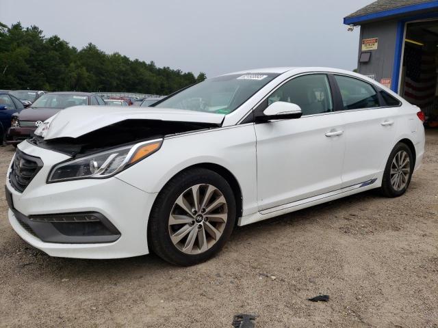 HYUNDAI SONATA SPO 2017 5npe34af0hh551566