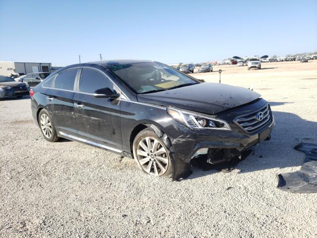 HYUNDAI SONATA SPO 2017 5npe34af0hh555519