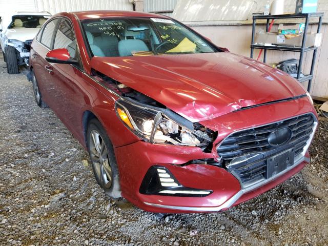 HYUNDAI SONATA SPO 2018 5npe34af0jh617782