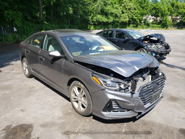 HYUNDAI SONATA SPO 2018 5npe34af0jh628989