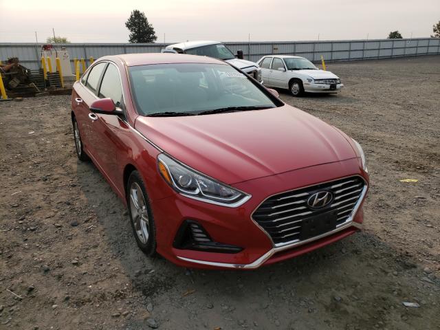 HYUNDAI SONATA SPO 2018 5npe34af0jh640852