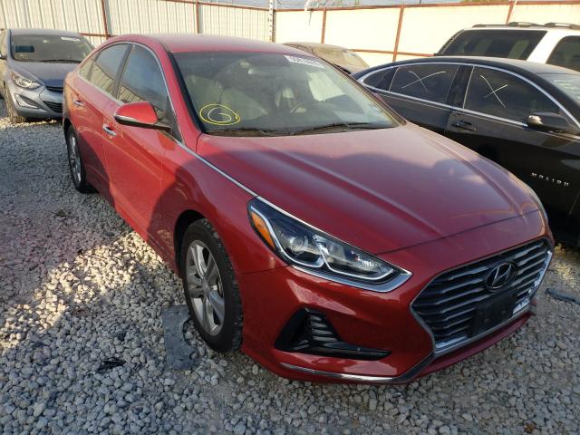 HYUNDAI SONATA SPO 2018 5npe34af0jh641533