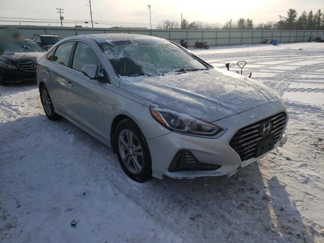 HYUNDAI SONATA SPO 2018 5npe34af0jh647171