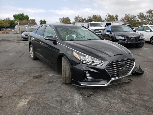 HYUNDAI SONATA SPO 2018 5npe34af0jh647848