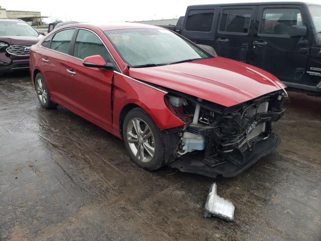 HYUNDAI SONATA SPO 2018 5npe34af0jh655996