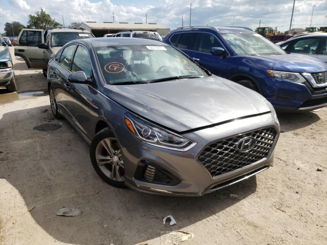 HYUNDAI SONATA SPO 2018 5npe34af0jh678128