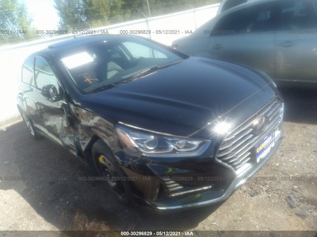 HYUNDAI SONATA 2018 5npe34af0jh689033