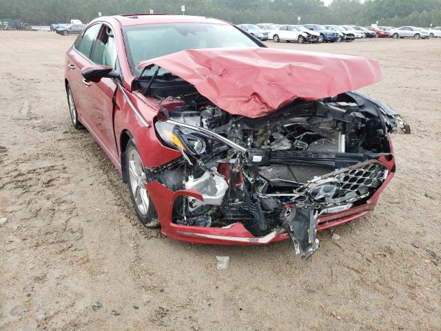 HYUNDAI SONATA SPO 2018 5npe34af0jh700693