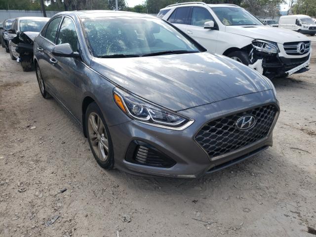 HYUNDAI SONATA SPO 2018 5npe34af0jh707689